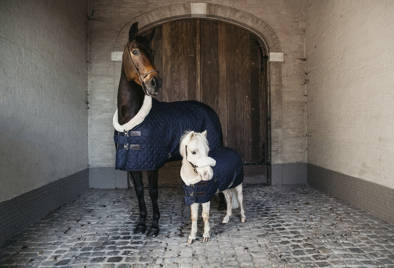 Couvertures d'hiver, mi saison, de box ou d'exérieur, fouilhoux vous propose les meilleures marques de couvertures pour votre cheval.