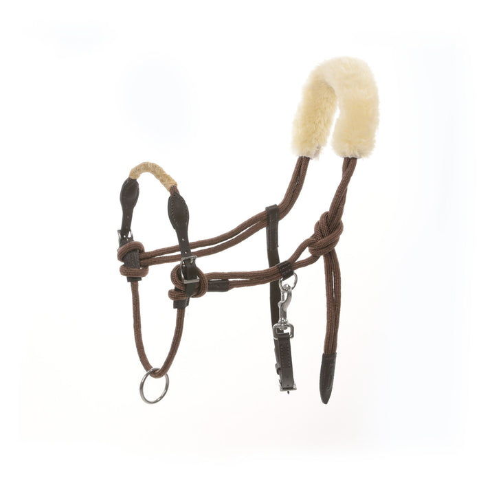 LAMI-CELL - Licol de longe avec mouton