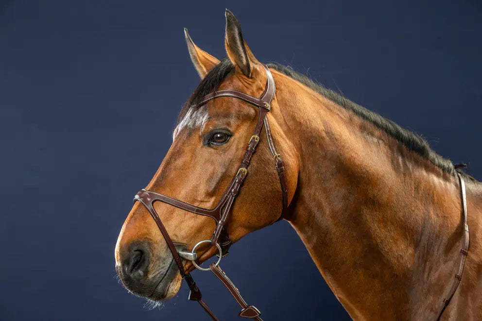 Filet Dyon X fit anatomique en cuir brun. Idéal pour éviter les pressions sur la tête de votre cheval. Vendu par Fouilhoux Fontainebleau.