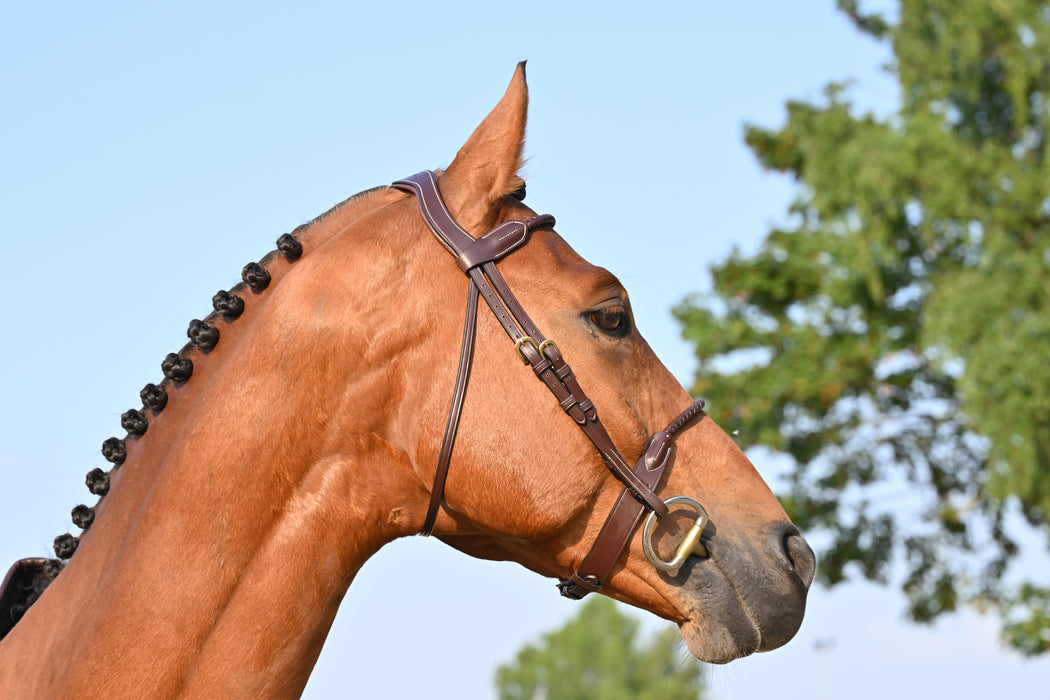 Bridon Dyon tressé en cuir brun marron, très élégant pour les shows. Cuir torsadé. Vendu par Fouilhoux Fontainebleau.