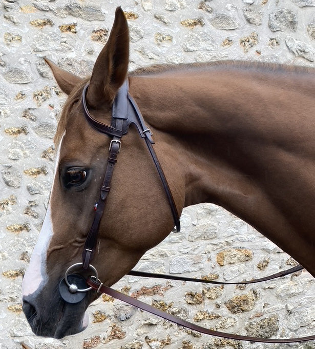 Bridon GBS Gregory Cottard, le nouveau bridon sans muserole et avec têtière ergonomique pour éviter un maximum les points de pression sur la tête de votre cheval. En vente chez sellerie Fouilhoux Fontainebleau.