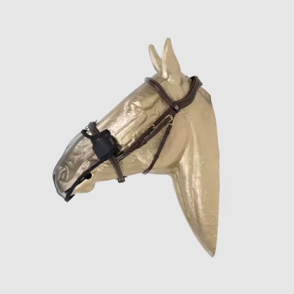 KENTUCKY Anti Fly Nose Net