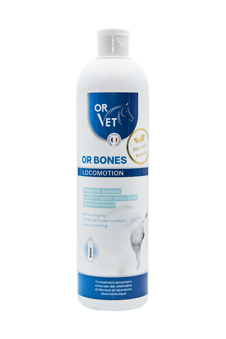 OR-VET - Or Bones