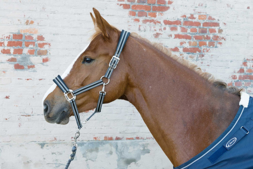 LAMI-CELL- Licol Grooming