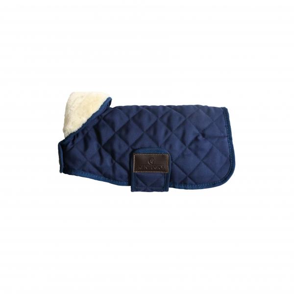 Kentucky dog Coat