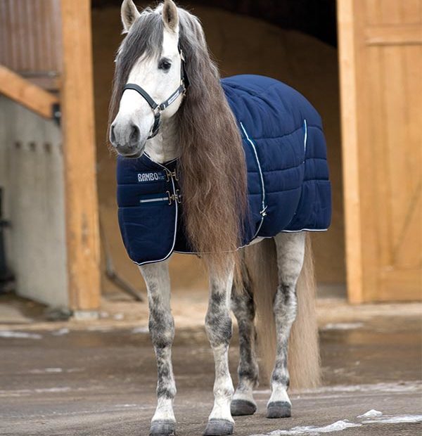 HORSEWARE - Couverture d'écure Rambo - 200 ou 400g - le best seller de la marque. Très chaude et très résistante avec une coupe anatomique très confortable pour votre cheval.