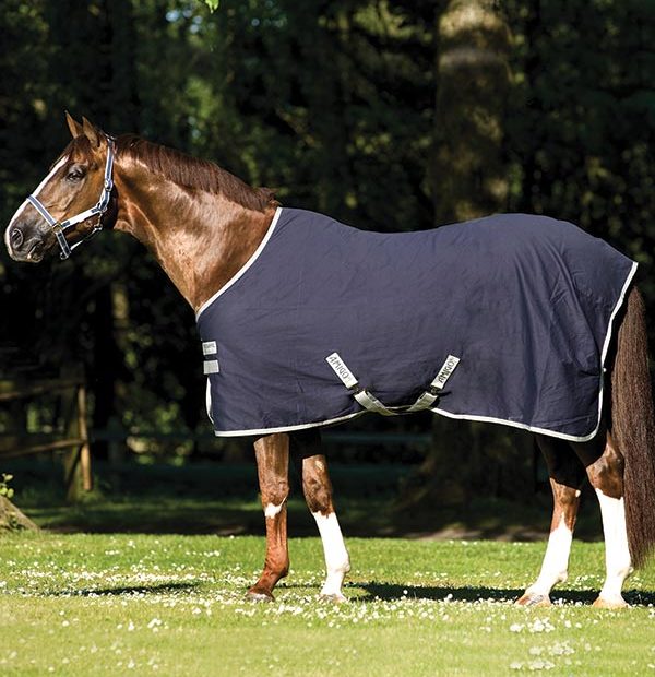 HORSEWARE - Amigo Stable Sheet