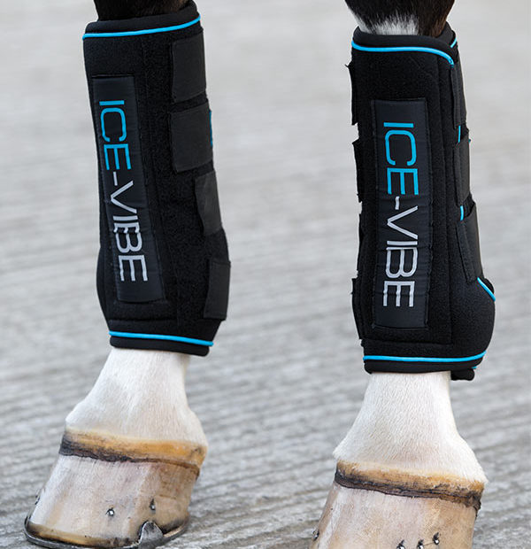 HORSEWARE - Ice vibes Boot