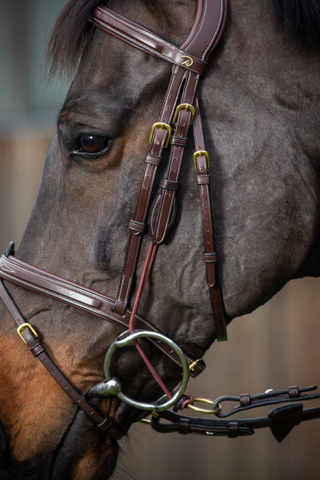 DY'ON - Montants de releveur cordes fines