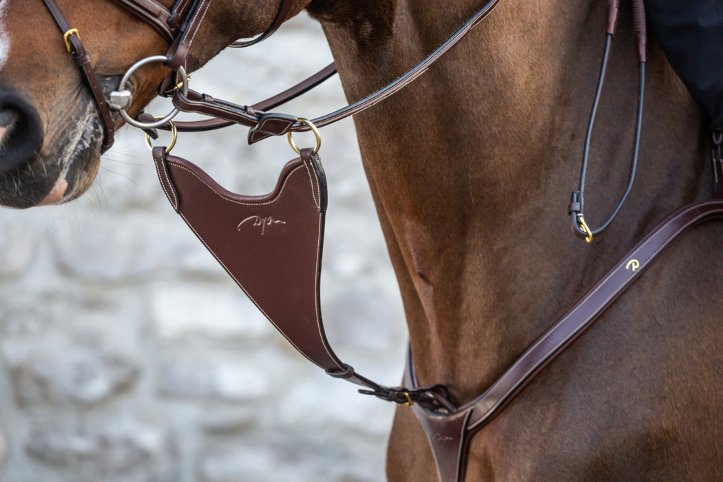 DY'ON - Fourchette de martingale pleine
