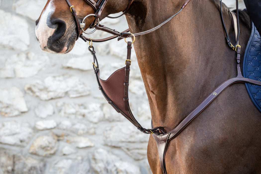 Dy'on fourchette de martingale pleine souple
