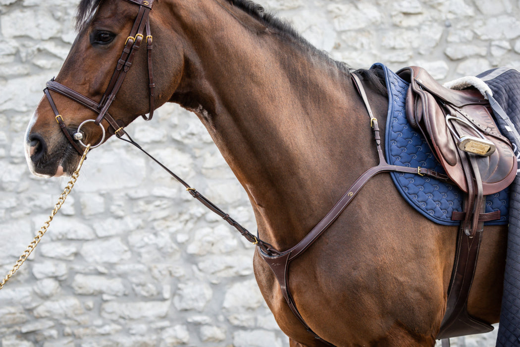 Dy'on fourchette de martingale fixe