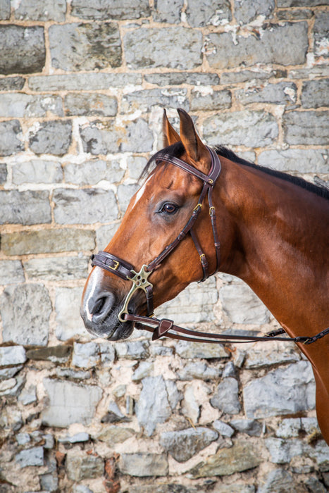 DY'ON - Bridon Hackamore