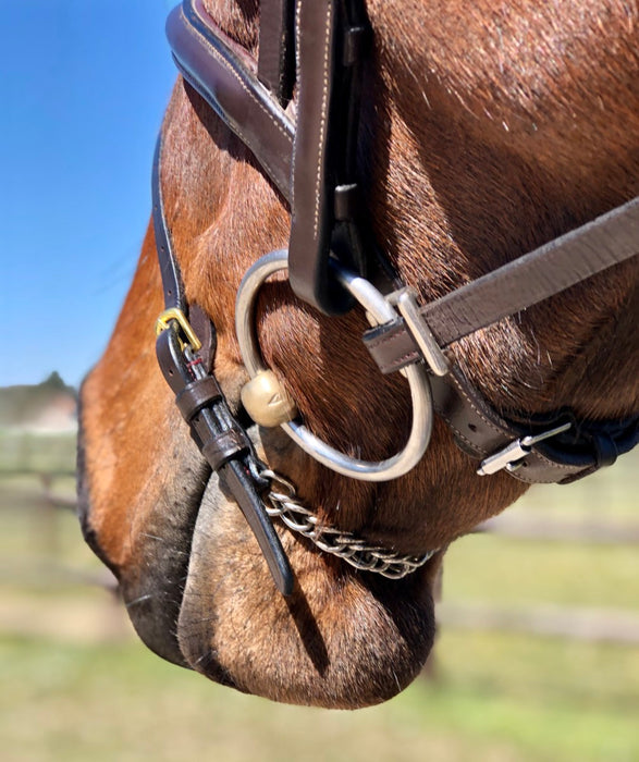 FOUILHOUX - Noseband Chaine