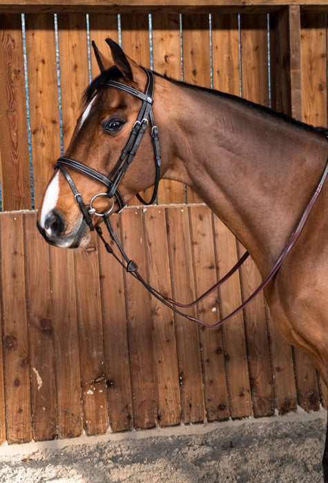 Dy'on Bridon classique working