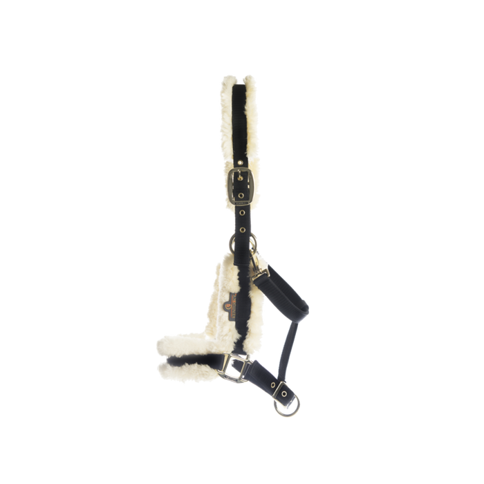 Kentucky licol nylon/mouton