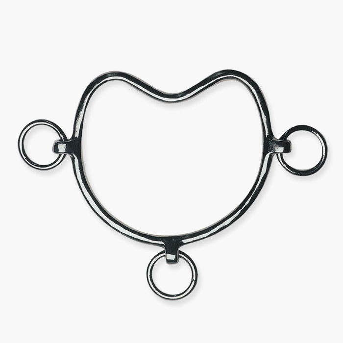 chifney inox