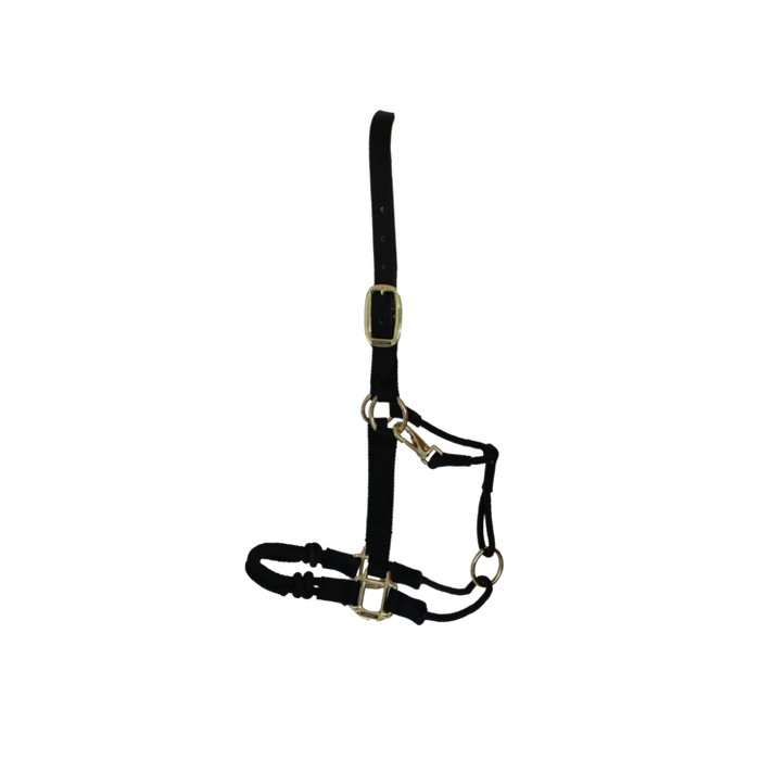KENTUCKY - Licol de Control Halter