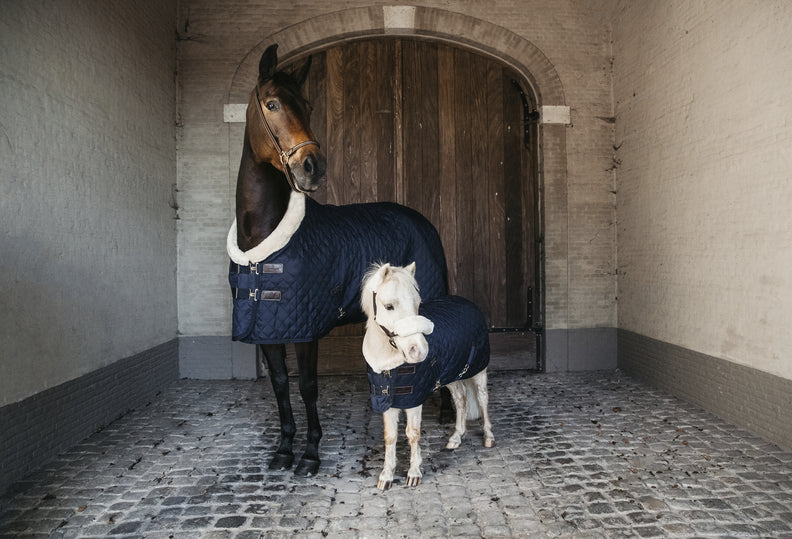 Couvertures d'hiver, mi saison, de box ou d'exérieur, fouilhoux vous propose les meilleures marques de couvertures pour votre cheval. 
