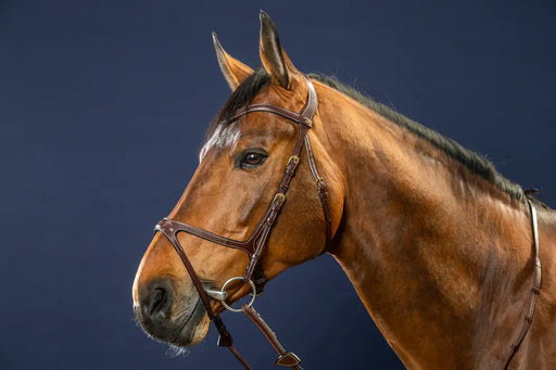 Filet Dyon X fit anatomique en cuir brun. Idéal pour éviter les pressions sur la tête de votre cheval. Vendu par Fouilhoux Fontainebleau. 