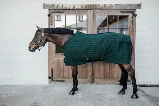 Kentucky chemise 4D spacer, chemise séchante portée par le cheval. Technique et résistante. Couleur vert émeraude. 