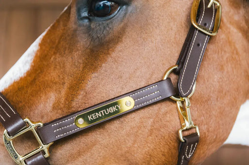 Kentucky beau licol cheval effet cuir, couture piquée élégante et plaque Kentucky. L'apparence du cuir mais dans une version vega. 