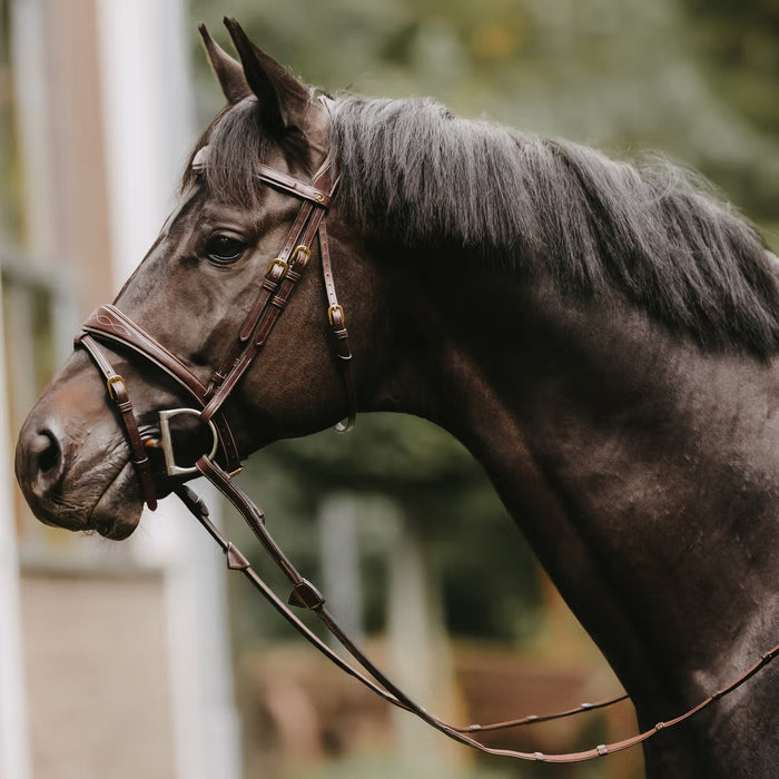 D'YON - Rênes Hunter 5/8"