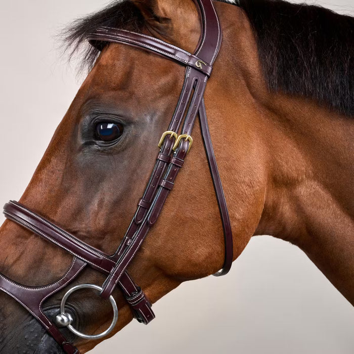 D'YON - Bridon Double Muserolle