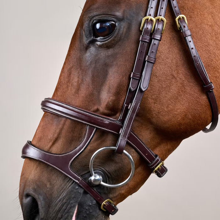 D'YON - Bridon Double Muserolle