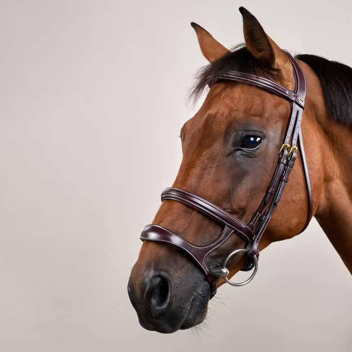 D'YON - Bridon Double Muserolle