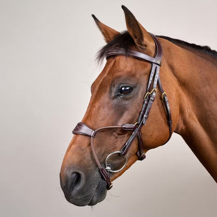 D'YON - Bridon Muserolle Hybride Elastique