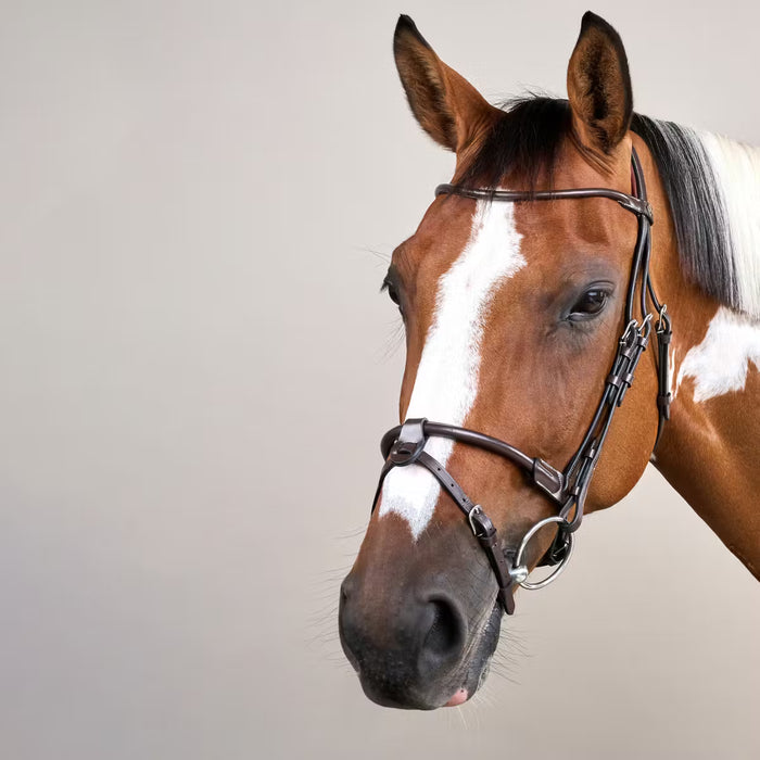 Dy'on - Bridon en cuir rond