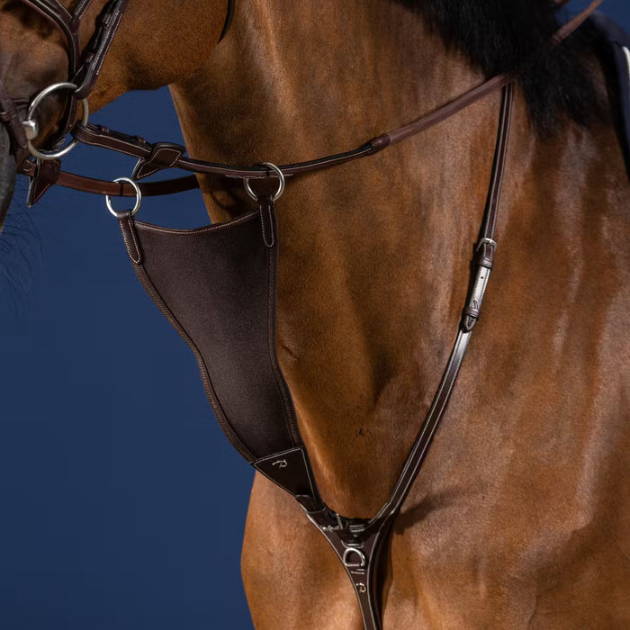 D'YON - Fourchette de martingale pleine élastique