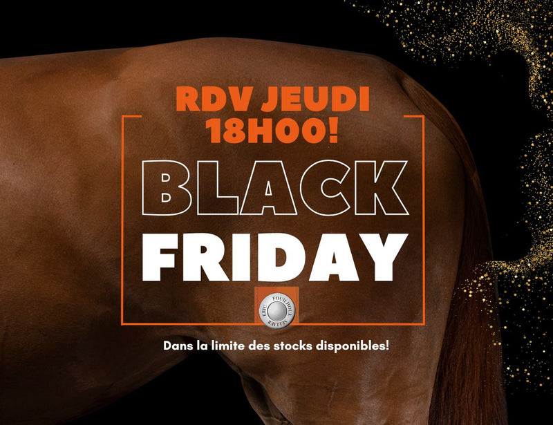 Black Friday chez Sellerie Fouilhoux 