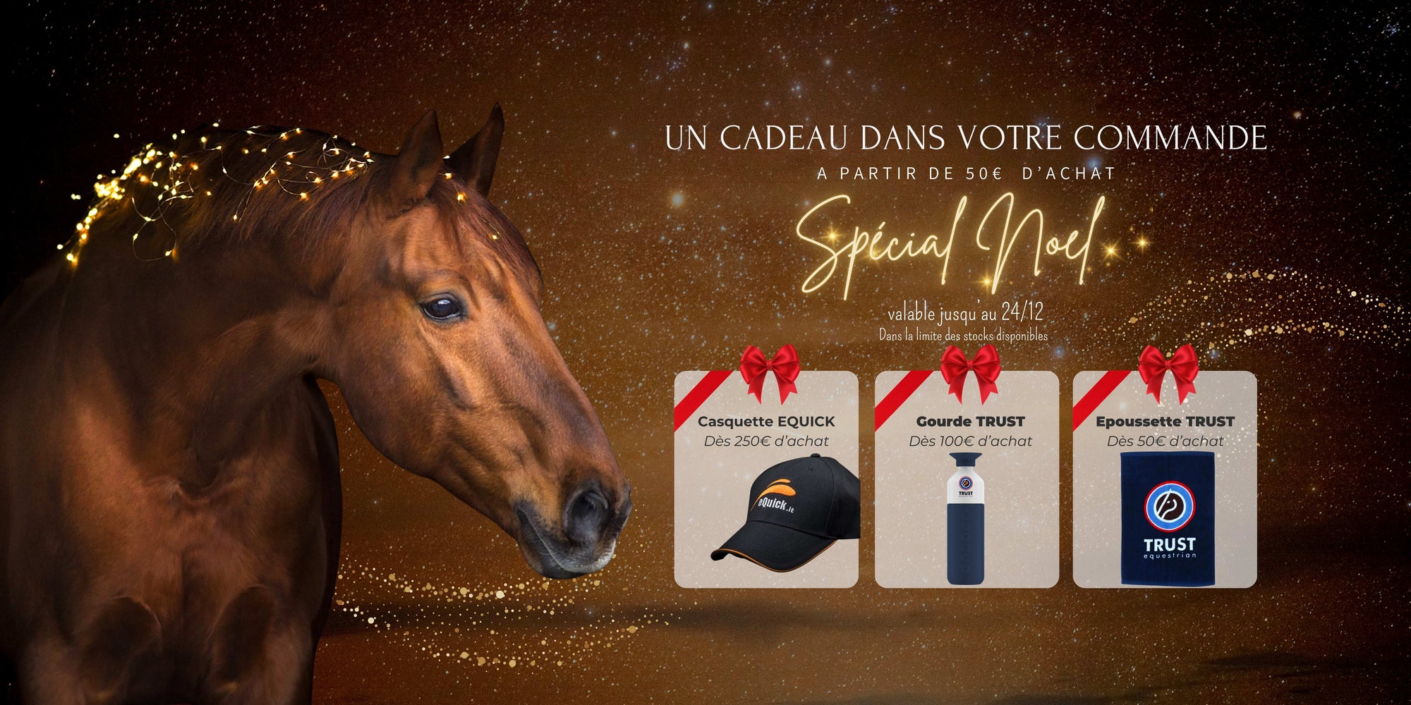 Offre de Noel , nos cadeaux contre achat spécial Noel chez Sellerie Fouilhoux