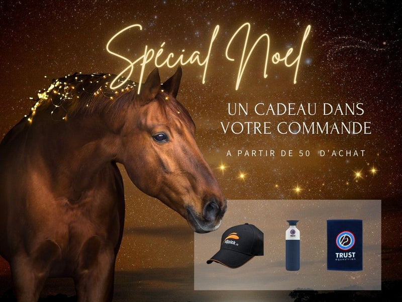 Offre Noel chez sellerie fouiloux, découvrez nos cadeaux contre achat