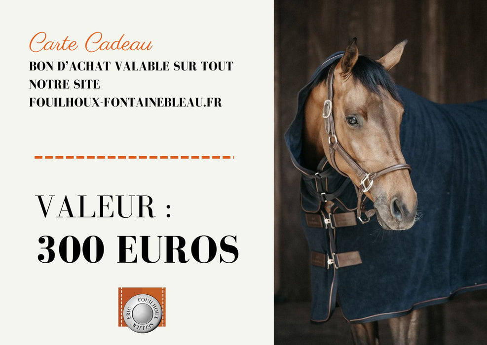 E carte cadeau Fouilhoux à offrir pour de l'équipement cheval et cavalier. 300 euro