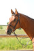 bridon muserolle Française. Sellerie Fouilhoux. taille cheval