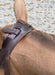Zoom sur la têtière ergonomique du filet Grégory Cottard par GBS. Idéal pour préserver la tête de votre cheval de tout pression. En vente chez Fouilhoux sellier. 