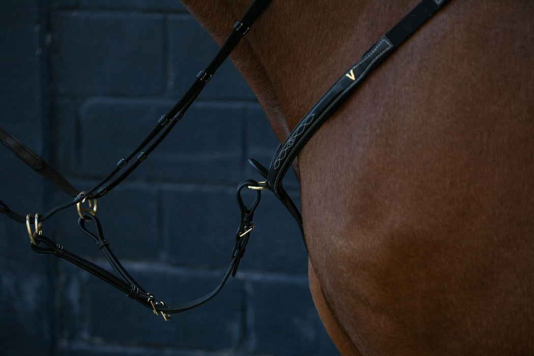Collier de chasse pour chevaux en cuir par HVN. Possibilité d'ajouter une martingale. CUir de Haute qualité, noir. Attache simple à la selle. Vendu par sellerie Fouilhoux Fontainebleau. 