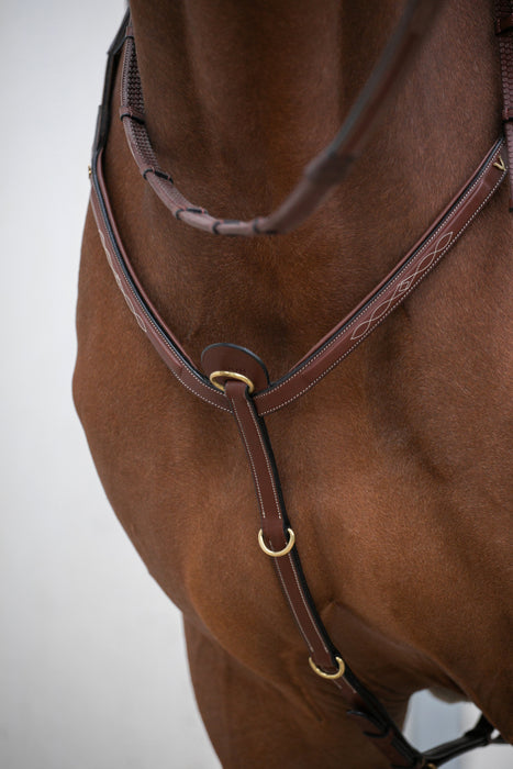 HVN - Collier de chasse Classic
