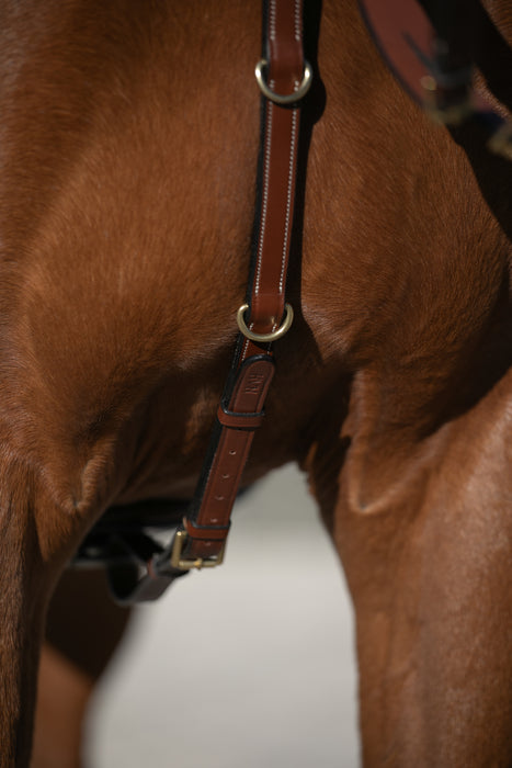 HVN - Collier de chasse Classic