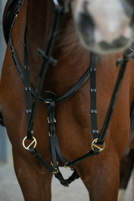 Martingale HVN en cuir de haute de gamme. Anneau ouvert pour une fixation rapide et simple. Couleur noir. Surpiquere blanches chic. Vendue chez Fouilhoux Fontainebleau. 