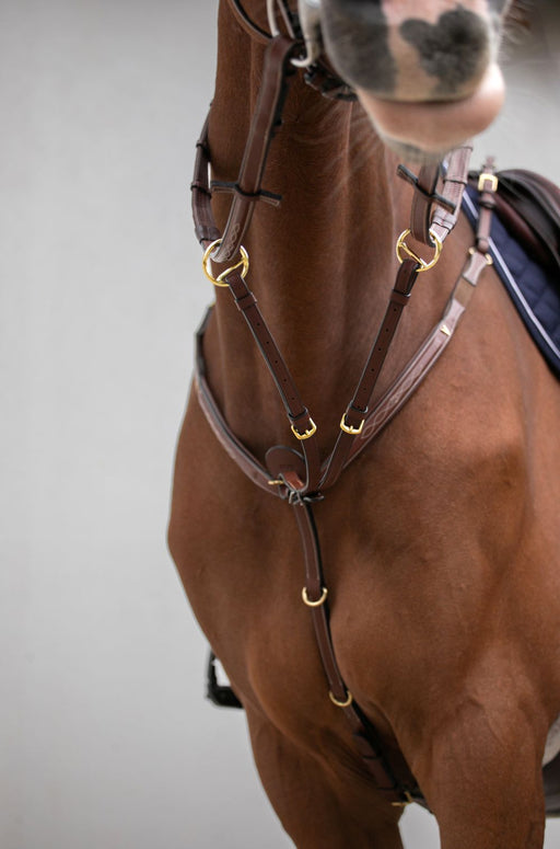 Martingale HVN en cuir de haute qualité. Anneau ouvert pour une fixation rapide et simple. Couleur Camel. Vendue chez Fouilhoux Fontainebleau. 