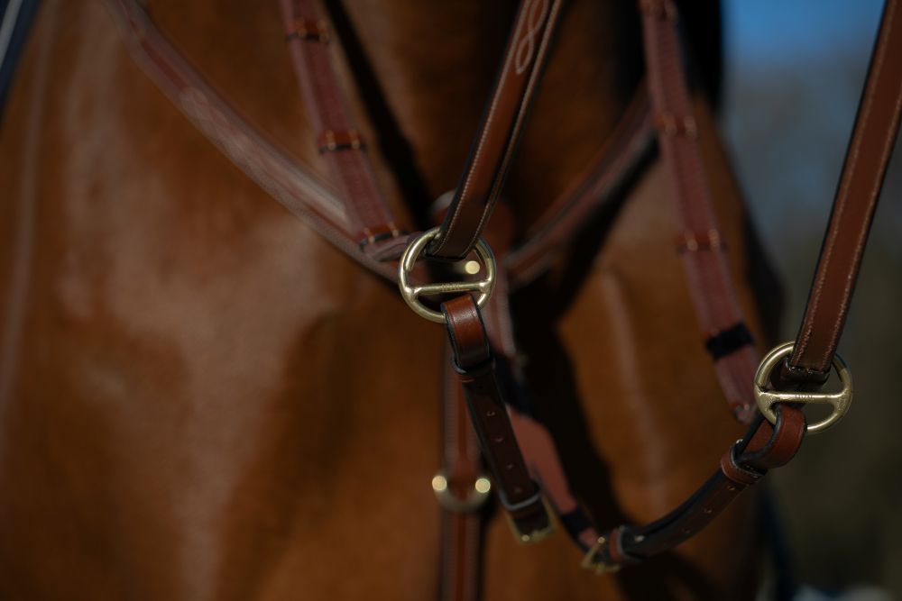 Martingale HVN en cuir de haute qualité. Anneau ouvert pour une fixation rapide et simple. Couleur Camel.  Coulissennt sur les renes. Vendue chez Fouilhoux Fontainebleau. 
