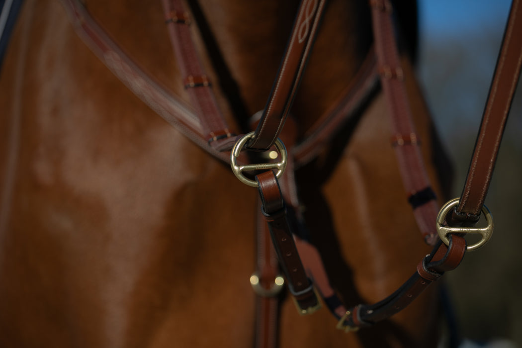 HVN - Fourche de martingale à anneaux ouverts