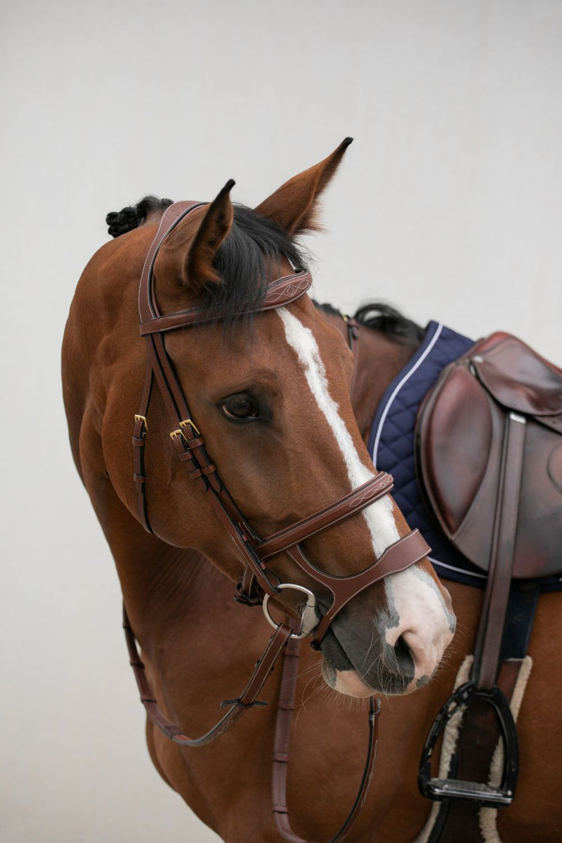 Bridon pour cheval Bridon Duo Flex de chez HVN. cuir camel élégant. Double muserolle francaise et allemande. vendu par Fouilhoux Fontainebleau.