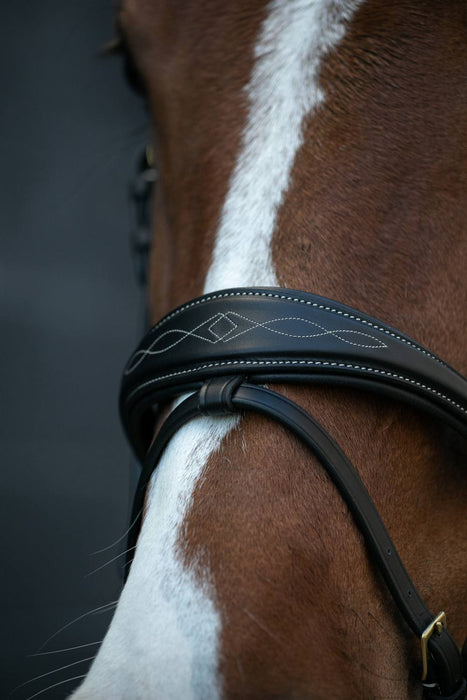 Bridon pour cheval ergonomique par la nouvelle marque HVN. Elégant avec ses surpiquures. vendu par fouilhoux Fontainebleau. couleur noir
