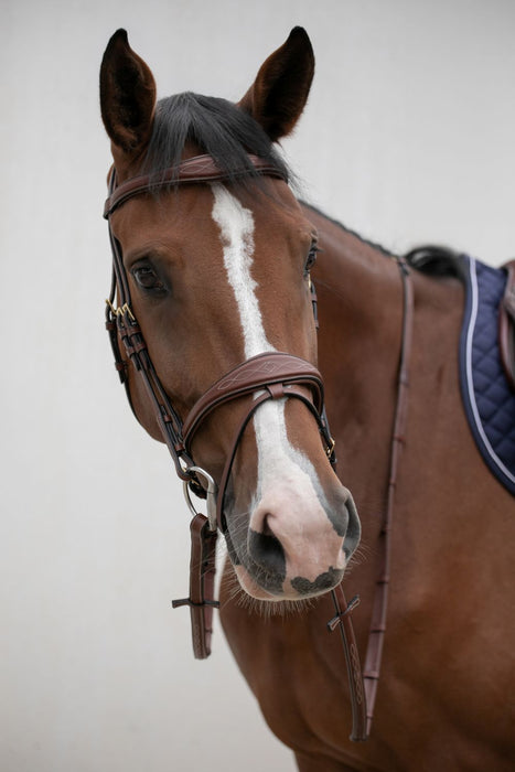 Bridon pour cheval ergonomique par la nouvelle marque HVN. ajustement confortable pour le cheval. Padds de confort. vendu par fouilhoux Fontainebleau. 
