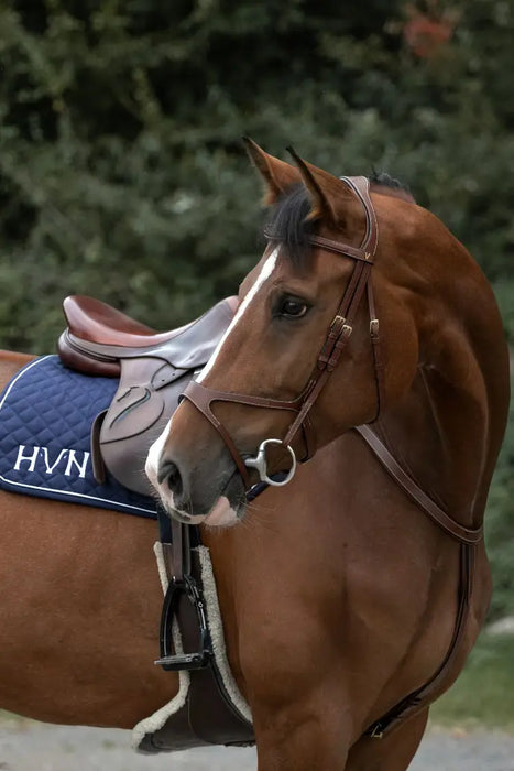 HVN - Bridon MotionFit